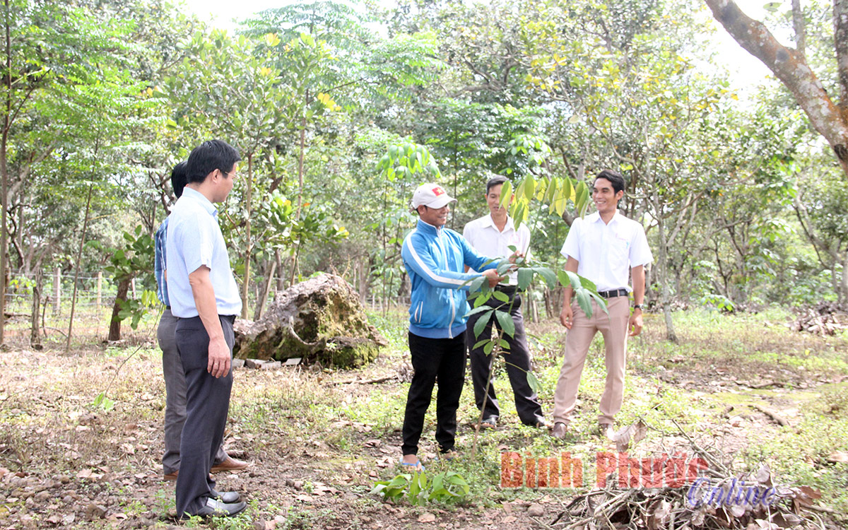 “Gỡ nút thắt” trong vùng đồng bào dân tộc thiểu số (Bài 1)