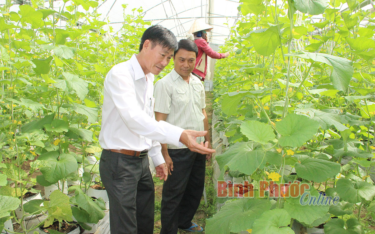 Phát triển Kinh tế - xã hội phải gắn chặt với bảo vệ môi trường