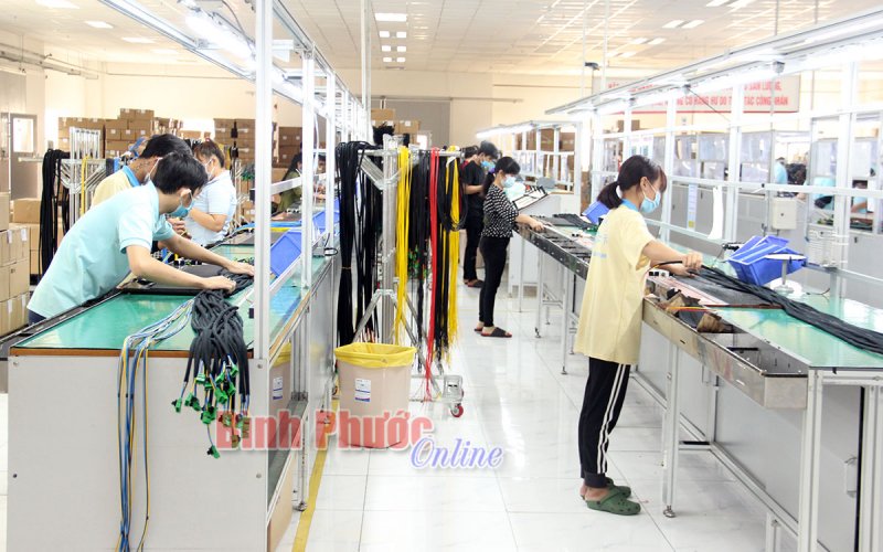 Bình Phước: 103.523 người lao động sẽ được chi trả từ quỹ bảo hiểm thất nghiệp