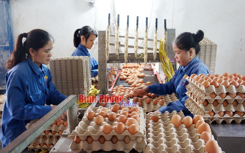 Con đường khởi nghiệp của doanh nhân Vũ Mạnh Hùng