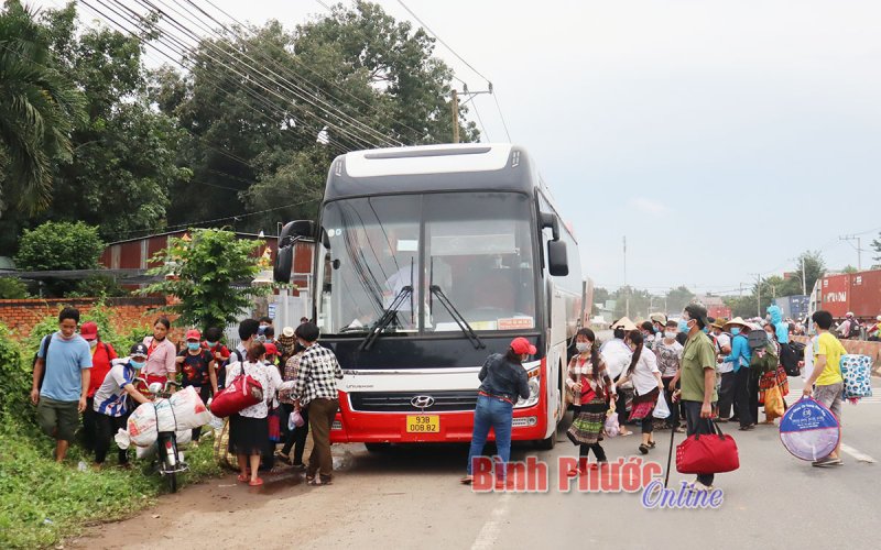 Hơn 500 người đi bộ về Tây Nguyên tránh dịch được Bình Phước hỗ trợ