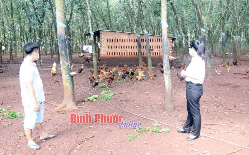 Hợp tác để nâng cao hiệu quả sản xuất