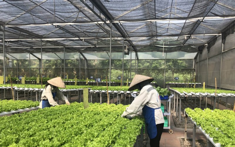 Hướng đến nền nông nghiệp hiện đại, bền vững
