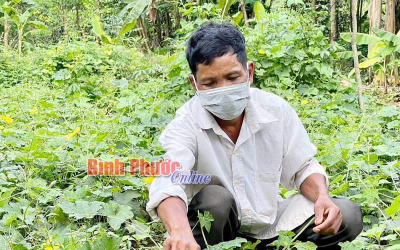 Lan tỏa tinh thần vì cộng đồng