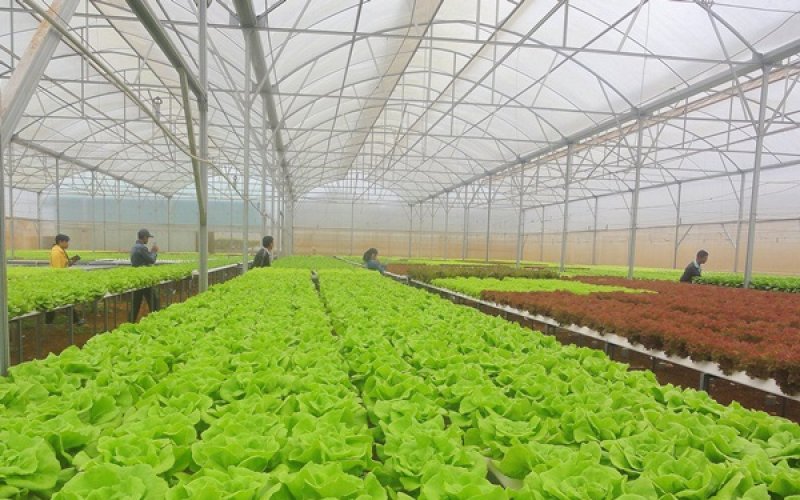 Lối mở cho n&ocirc;ng nghiệp c&ocirc;ng nghệ cao