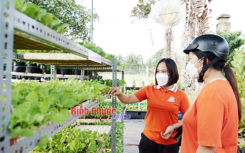 Năng động vượt qua đại dịch