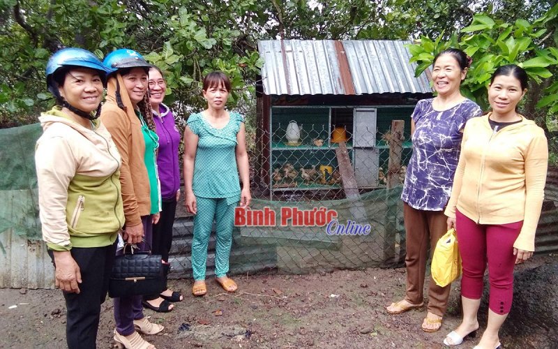 Phụ nữ Tân Tiến giúp nhau làm kinh tế