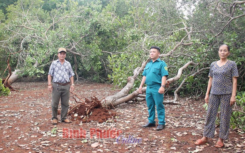 Phú Riềng: 20 căn nhà bị thiệt hại do thiên tai