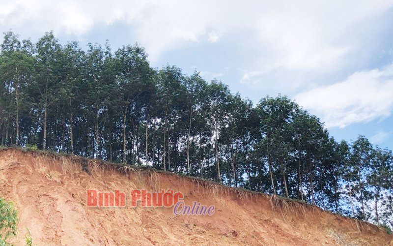 Tái diễn sạt lở trên tuyến Sao Bọng - Đăng Hà