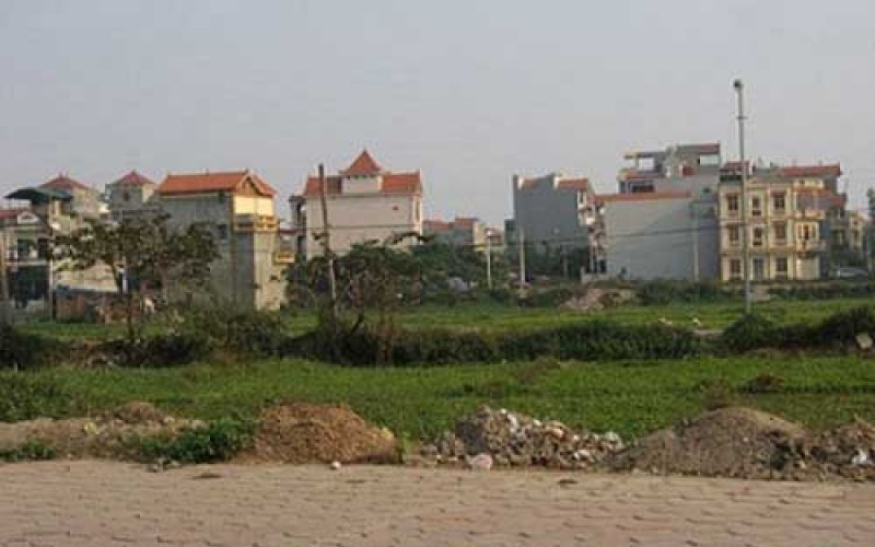 Văn phòng UBND tỉnh Bạc Liêu trả lời khiếu nại của bà Nguyễn Thị Tuyết