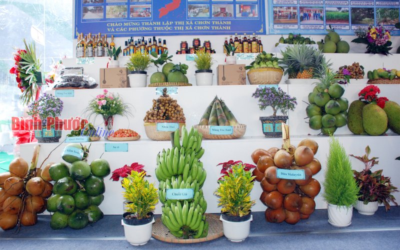 Ấn tượng gian hàng trưng bày nông sản tại lễ công bố thành lập thị xã Chơn Thành