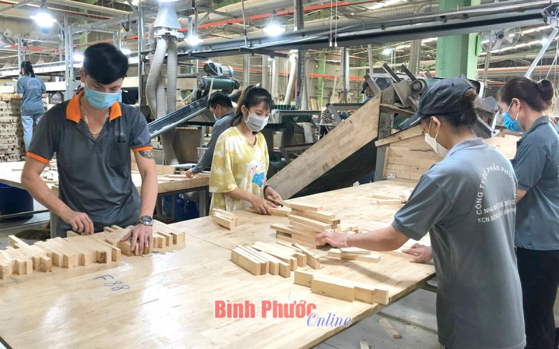 Bình Phước: 13/16 khoản thu thuế vượt mức 75% dự toán