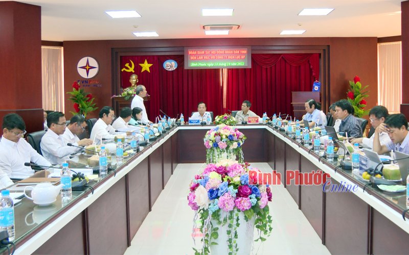 Bình Phước: 99,13% số hộ ở khu vực nông thôn có điện