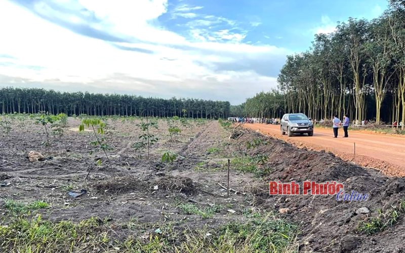 Bình Phước: Bắt nghi phạm dùng cuốc đập phá ô tô, đánh chết người