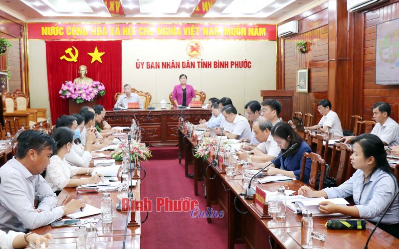 Bình Phước: Nghe báo cáo đồ án quy hoạch Khu đô thị mới Nam An Lộc