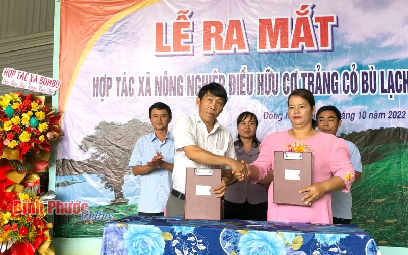 Bình Phước: Ra mắt Hợp tác xã nông nghiệp điều hữu cơ Trảng cỏ Bù Lạch