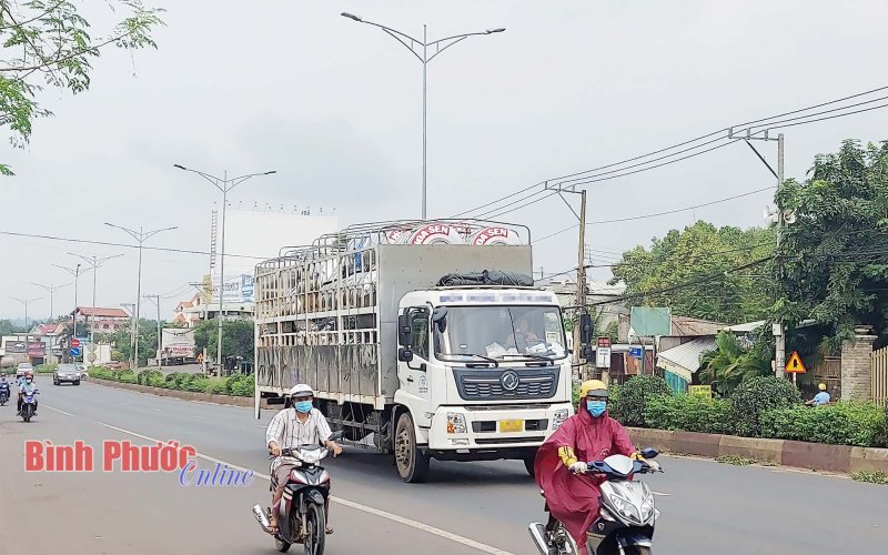 Bình Phước thu hồi 54 phù hiệu xe vận tải vi phạm tốc độ nhiều lần