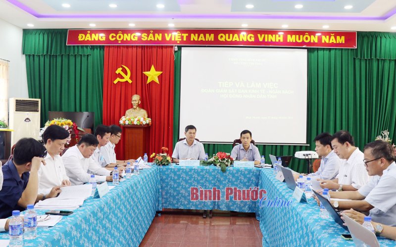 Giám sát việc thực hiện chính sách hỗ trợ, đầu tư xây dựng đường điện