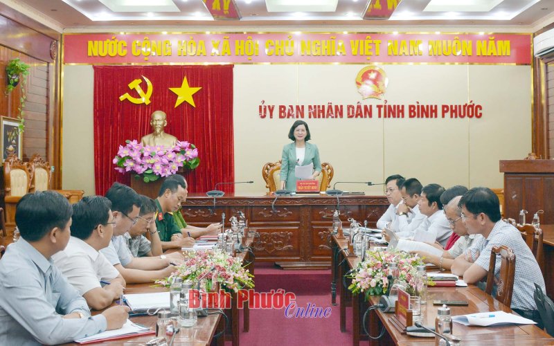 Khảo s&aacute;t, thiết kế đường chạy đảm bảo thuận lợi, an to&agrave;n cho vận động vi&ecirc;n