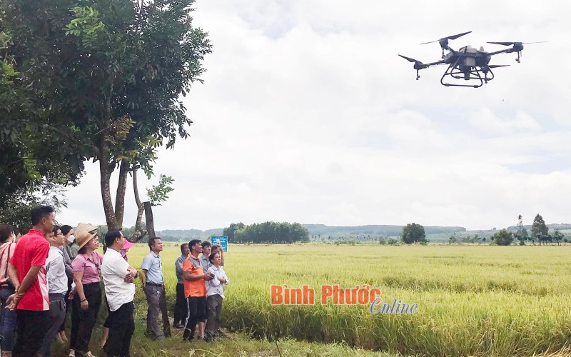 Máy bay không người lái nâng chất sản xuất nông nghiệp