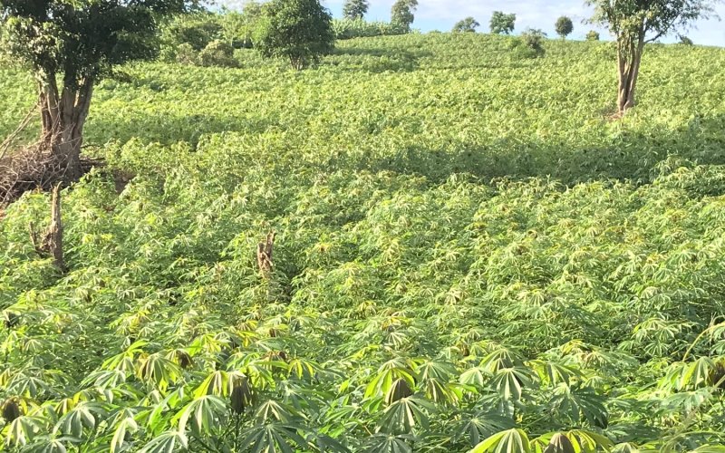 Những con số 'biết nói' trong hành trình giảm nghèo bền vững ở Việt Nam