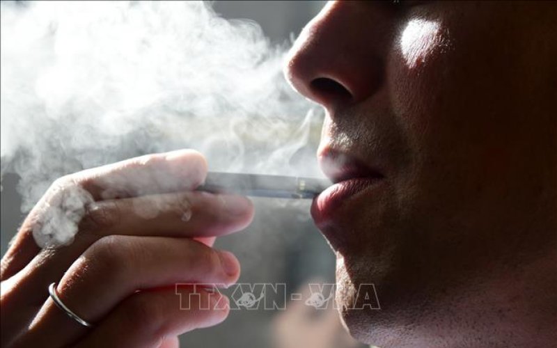 Phát hiện vi khuẩn đường ruột có thể làm giảm lượng nicotine trong cơ thể
