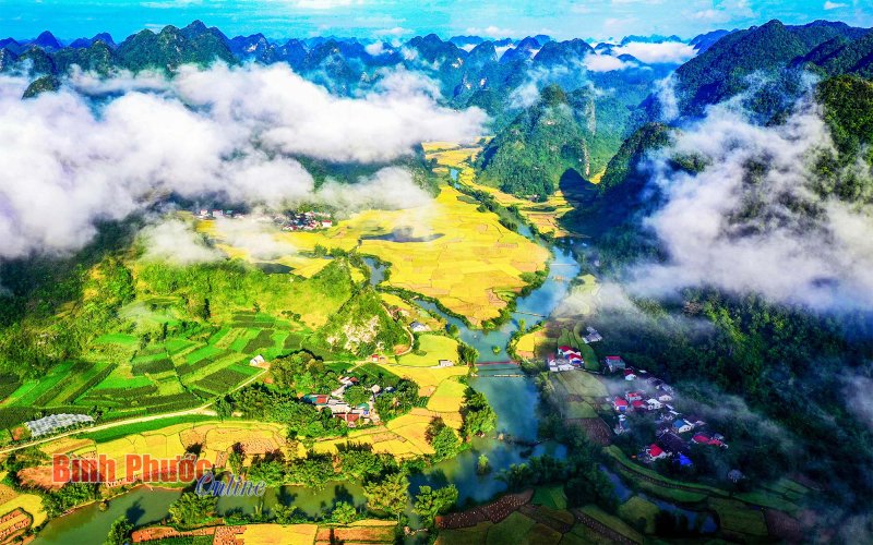 Trải nghiệm m&ugrave;a v&agrave;ng miền non nước Cao Bằng