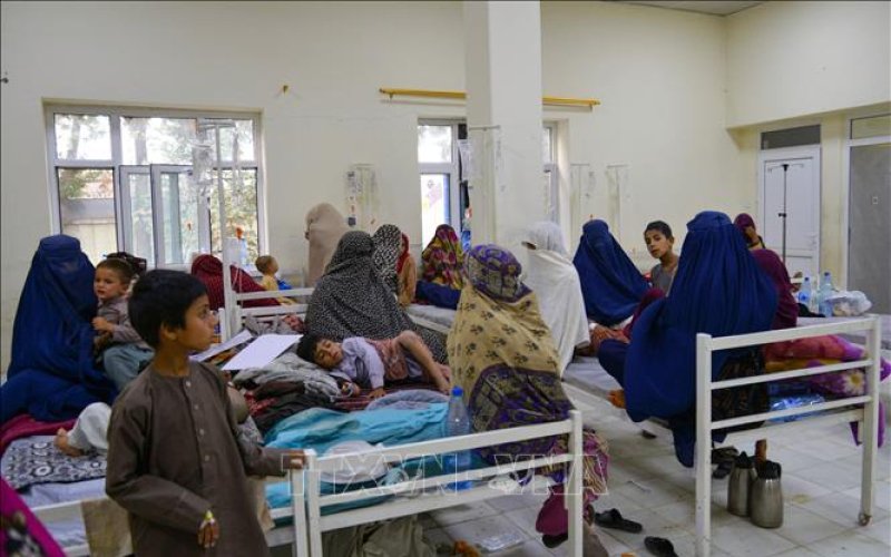 WHO cảnh báo dịch tả bùng phát với tỷ lệ tử vong cao hơn