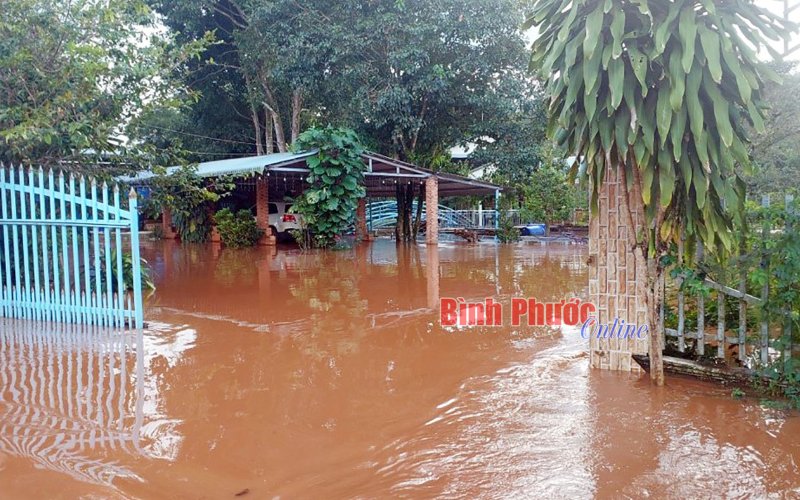 Bình Phước: Huy động lực lượng giúp dân ổn định cuộc sống sau lũ