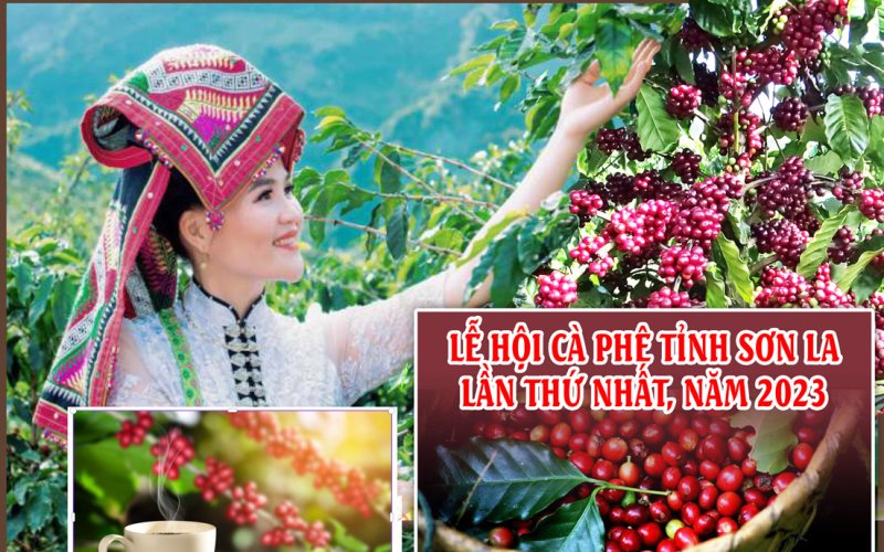Chương trình Lễ hội Cà phê tỉnh Sơn La lần thứ nhất, năm 2023