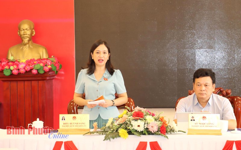 Đại biểu Quốc hội tỉnh lắng nghe những khó khăn, vướng mắc ngành điện