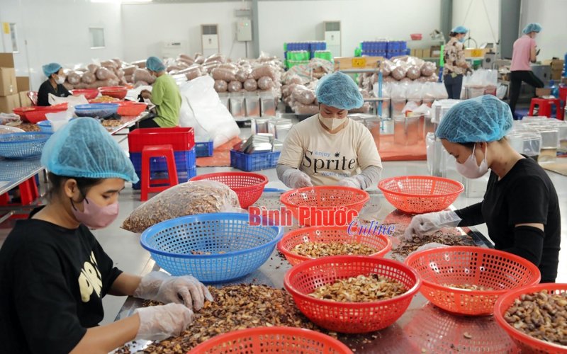 Đào tạo nghề lao động nông thôn - hướng giảm nghèo hiệu quả