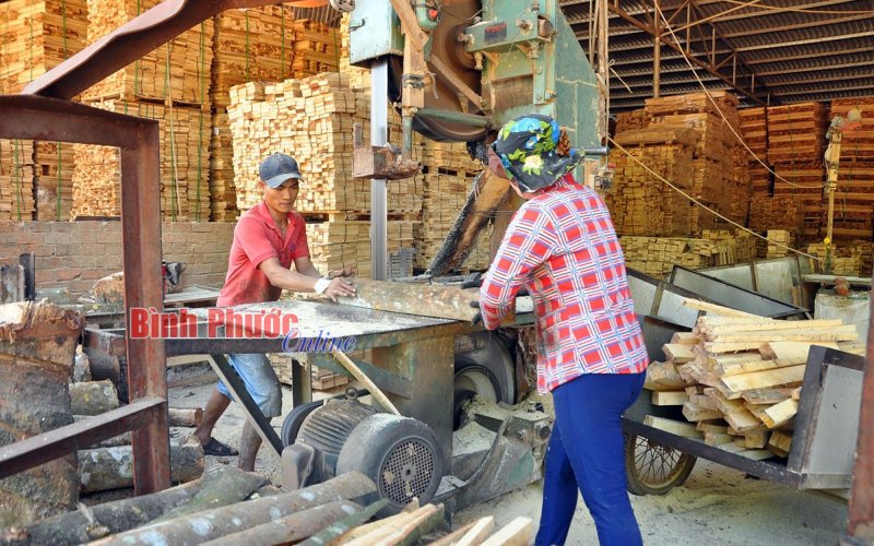 Đưa nội dung chương trình việc làm - giáo dục nghề nghiệp vào kế hoạch phát triển kinh tế - xã hội 