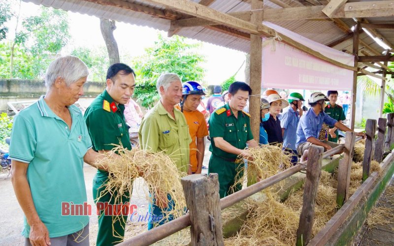 Gần 200 hộ dân được tập huấn kỹ thuật chăn nuôi trâu, bò sinh sản