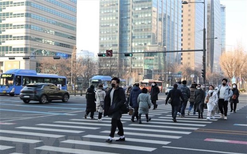 Hàn Quốc: Gần 40% lao động trẻ chấp nhận không có việc làm