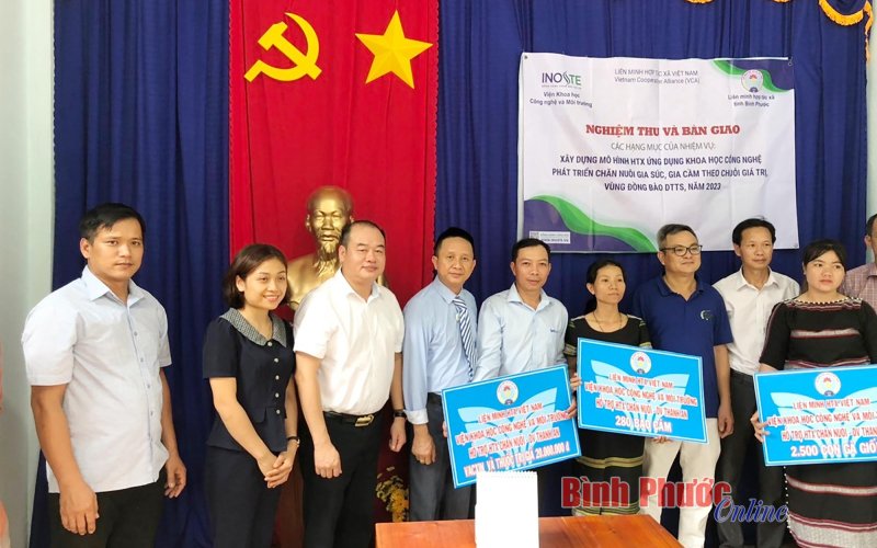 Hỗ trợ hợp tác xã chăn nuôi phát triển theo chuỗi giá trị