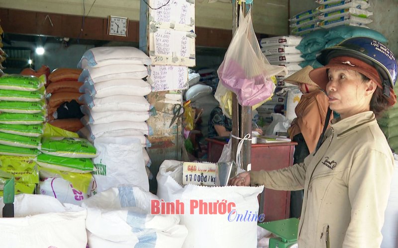 Kiểm soát thị trường, bình ổn giá gạo