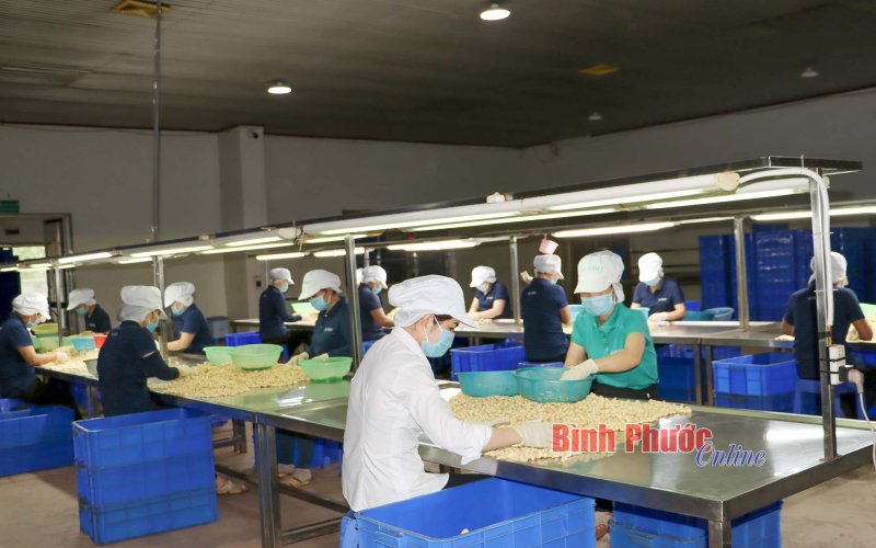 Kinh tế - xã hội 10 tháng tiếp tục đà phục hồi