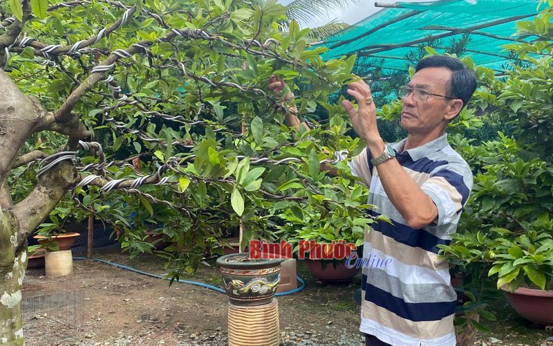 Làm giàu từ nông nghiệp đô thị