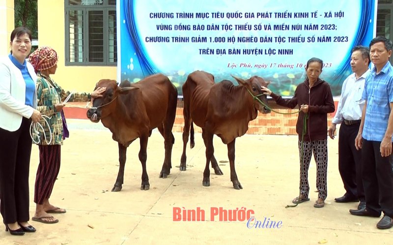 Lộc Ninh trao tặng bò giống cho hộ nghèo