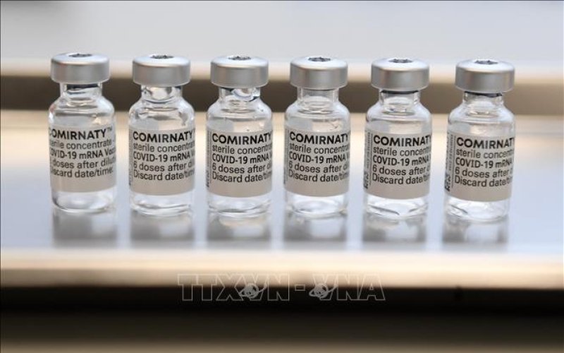 Pfizer và BioNTech công bố kết quả thử nghiệm vaccine kết hợp ngừa COVID-19 và cúm