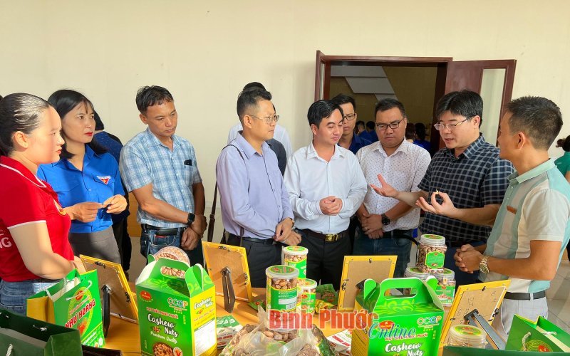 Tập huấn nâng cao năng lực, hỗ trợ thanh niên nông thôn khởi nghiệp gắn với chương trình OCOP