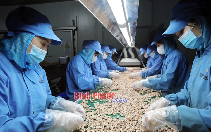 Thu hút lao động tại chỗ