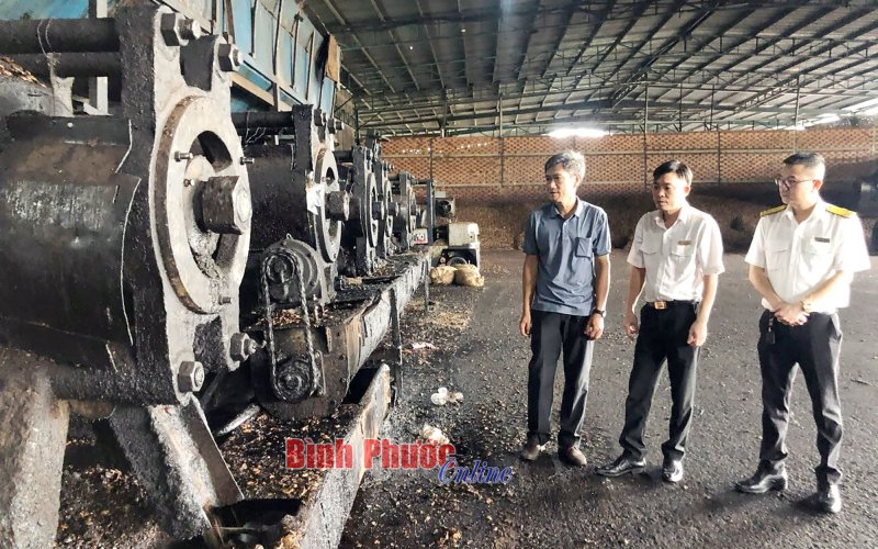 Thu mua vỏ hạt điều: Khó chứng minh hóa đơn đầu vào