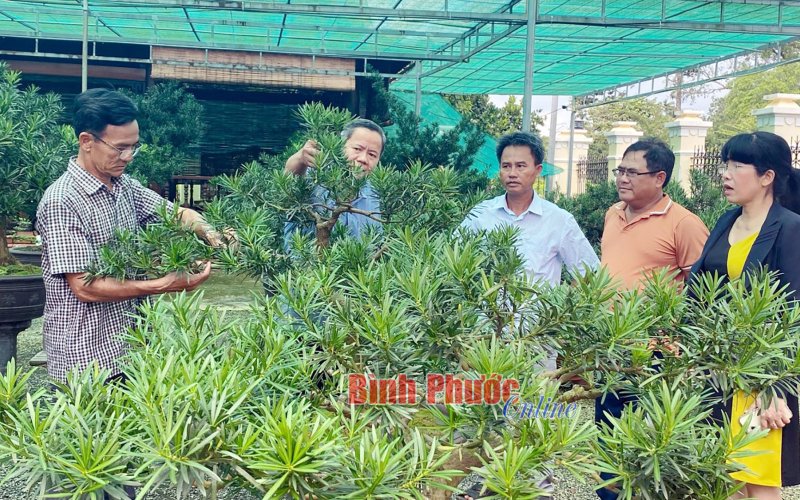 Triển vọng kinh tế sinh vật cảnh