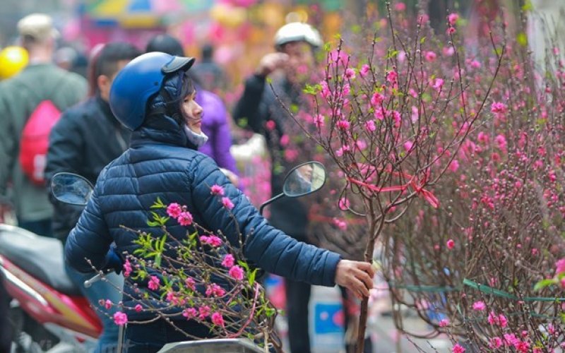 Trình Chính phủ phương án nghỉ Tết Âm lịch và Lễ Quốc khánh năm 2024