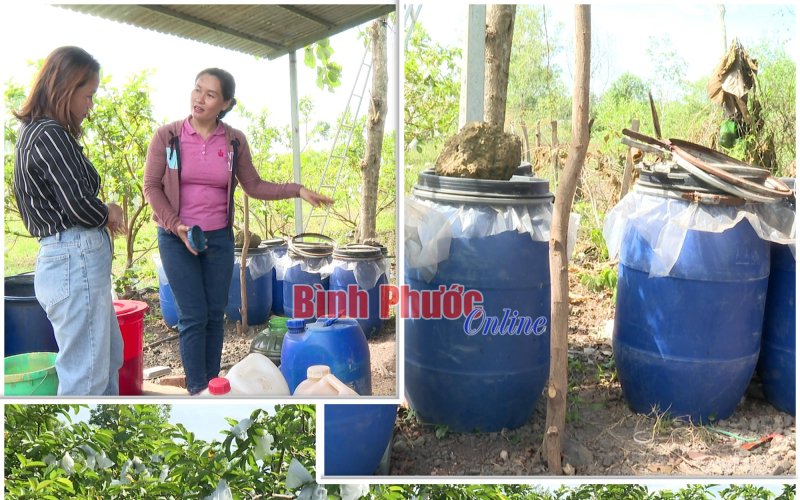 Tự ủ phân hữu cơ - giảm chi phí, tăng hiệu quả