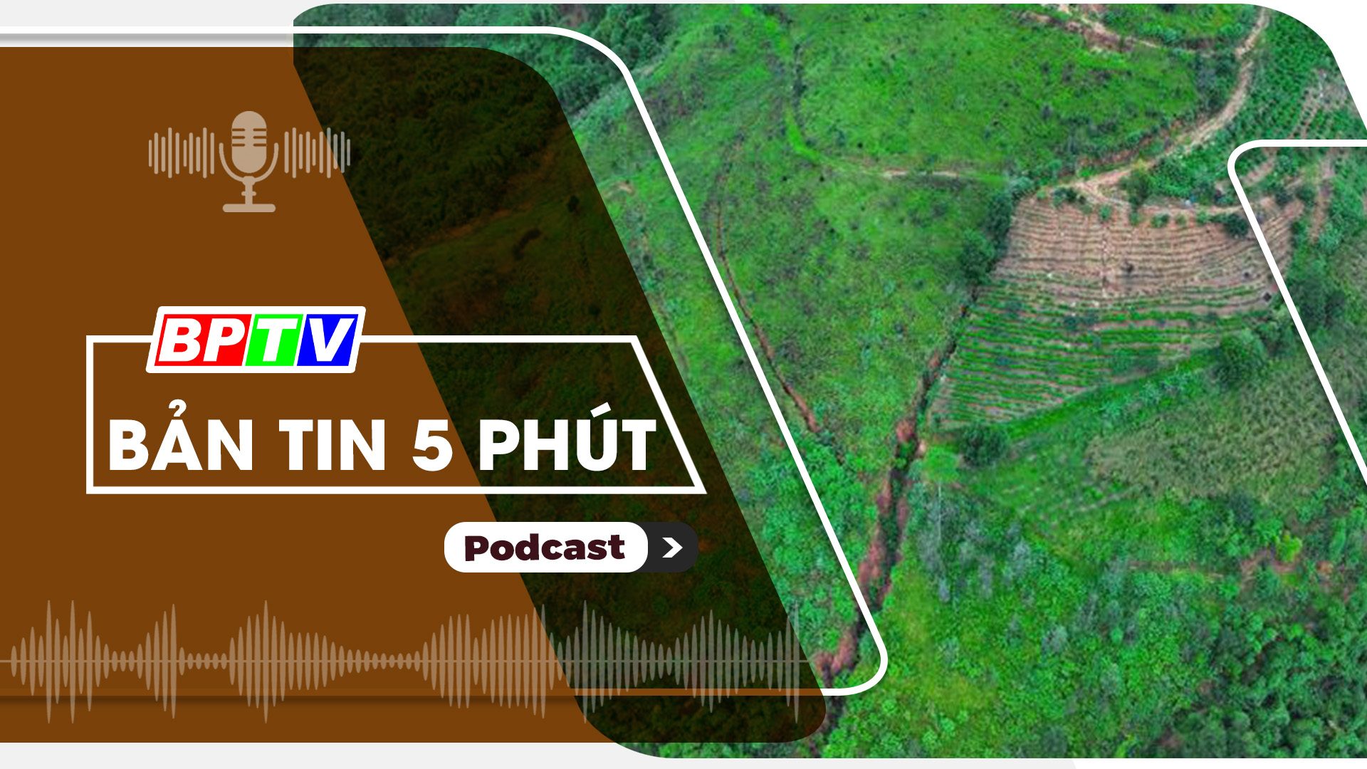 5 phút trưa nay 24-10-2024