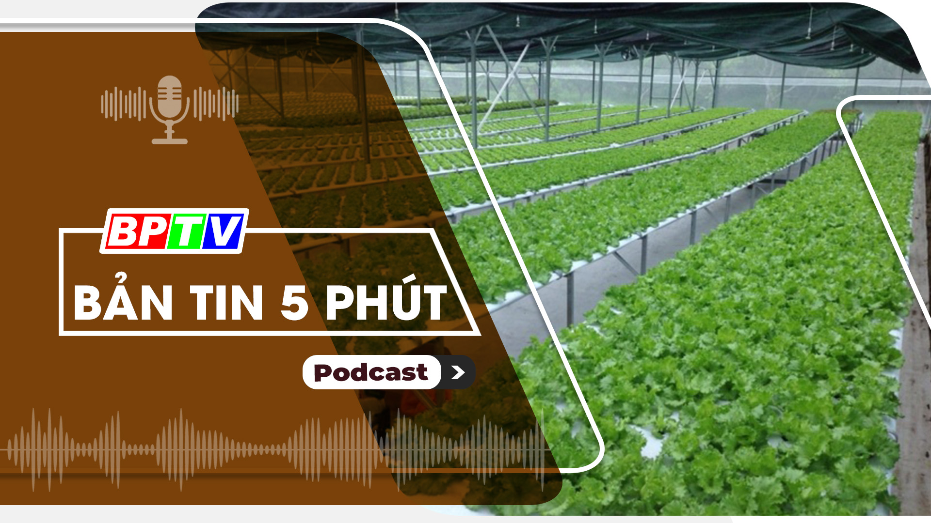 5 phút trưa nay 4-10-2024