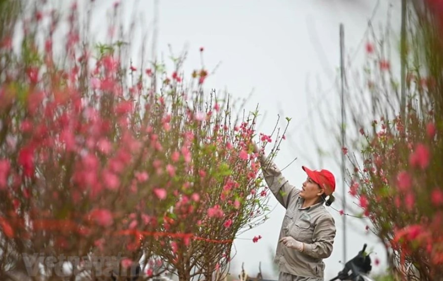 Bộ LĐ-TBXH trình Chính phủ phương án nghỉ Tết Nguyên đán và các dịp nghỉ lễ 2025
